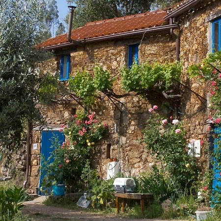 Guest Room B&B Agro-Turismo Quinta Da Fonte Figueiro Dos Vinhos Exterior photo